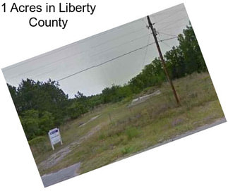 1 Acres in Liberty County