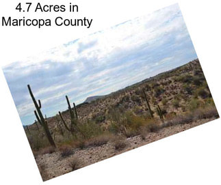 4.7 Acres in Maricopa County