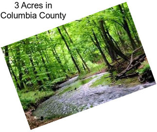 3 Acres in Columbia County