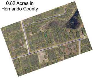 0.82 Acres in Hernando County