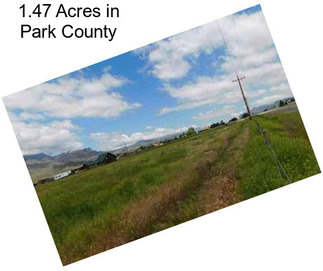 1.47 Acres in Park County