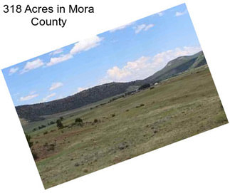 318 Acres in Mora County
