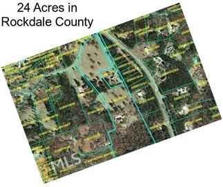 24 Acres in Rockdale County