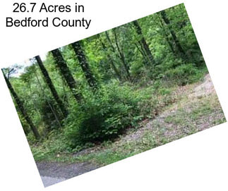 26.7 Acres in Bedford County