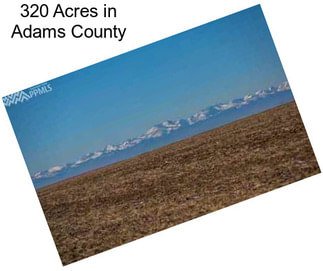 320 Acres in Adams County