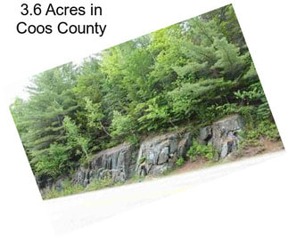 3.6 Acres in Coos County