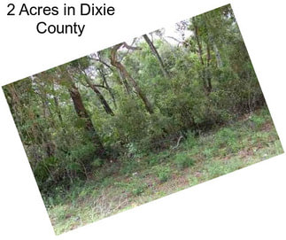 2 Acres in Dixie County