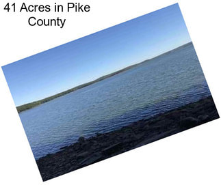 41 Acres in Pike County