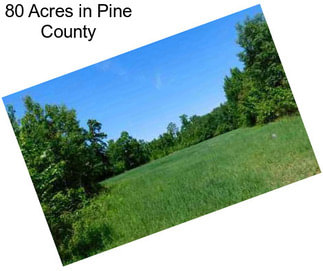 80 Acres in Pine County