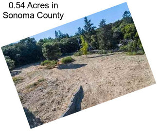 0.54 Acres in Sonoma County