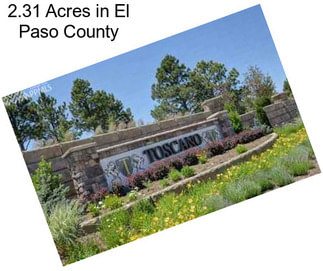 2.31 Acres in El Paso County