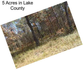 5 Acres in Lake County