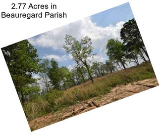 2.77 Acres in Beauregard Parish