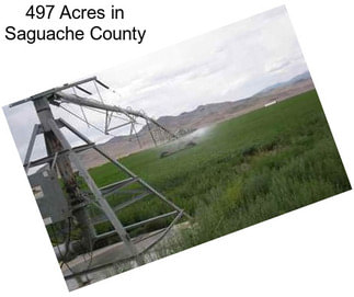 497 Acres in Saguache County