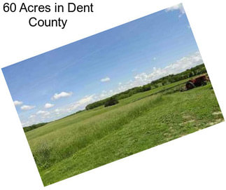 60 Acres in Dent County