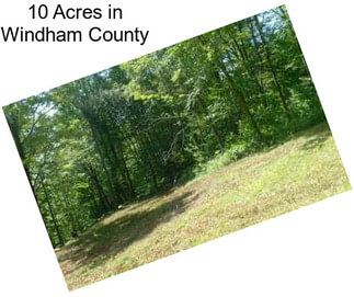 10 Acres in Windham County