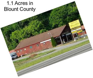 1.1 Acres in Blount County