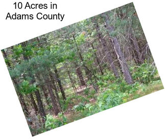 10 Acres in Adams County