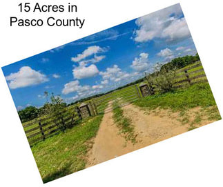 15 Acres in Pasco County