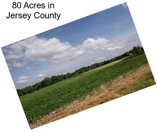 80 Acres in Jersey County