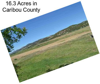16.3 Acres in Caribou County