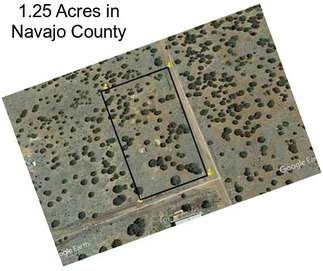1.25 Acres in Navajo County