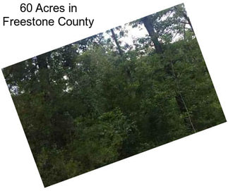 60 Acres in Freestone County