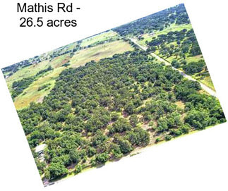 Mathis Rd - 26.5 acres