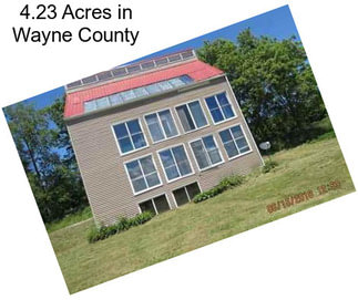 4.23 Acres in Wayne County