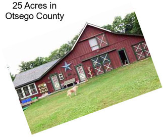 25 Acres in Otsego County