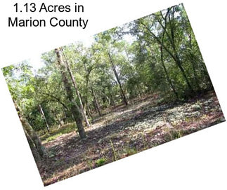 1.13 Acres in Marion County