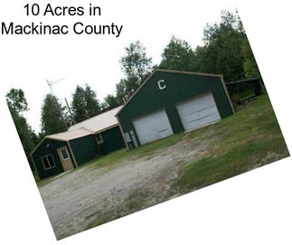 10 Acres in Mackinac County