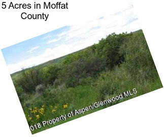 5 Acres in Moffat County