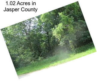 1.02 Acres in Jasper County