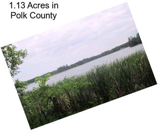 1.13 Acres in Polk County