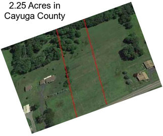 2.25 Acres in Cayuga County