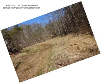 *REDUCED* 110 Acres, Private/No zoning/Forest/Stream/Hunting/Recreation