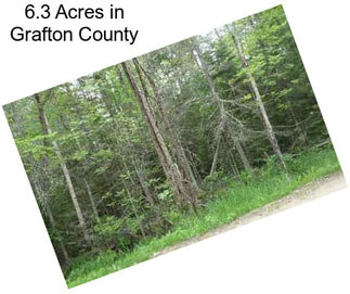 6.3 Acres in Grafton County