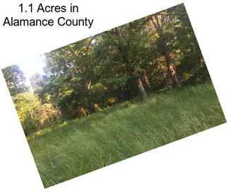 1.1 Acres in Alamance County