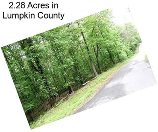 2.28 Acres in Lumpkin County