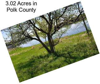 3.02 Acres in Polk County