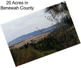 20 Acres in Benewah County