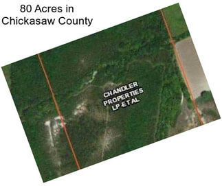 80 Acres in Chickasaw County