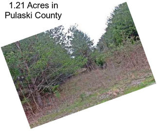 1.21 Acres in Pulaski County