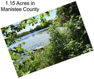 1.15 Acres in Manistee County