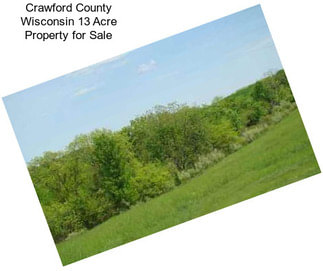 Crawford County Wisconsin 13 Acre Property for Sale