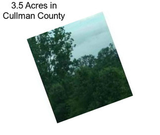 3.5 Acres in Cullman County