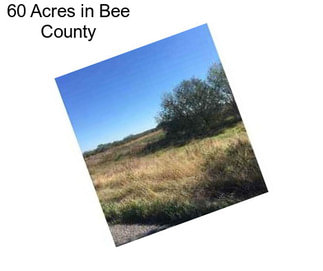 60 Acres in Bee County