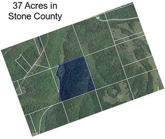 37 Acres in Stone County