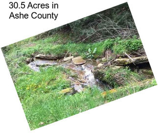 30.5 Acres in Ashe County